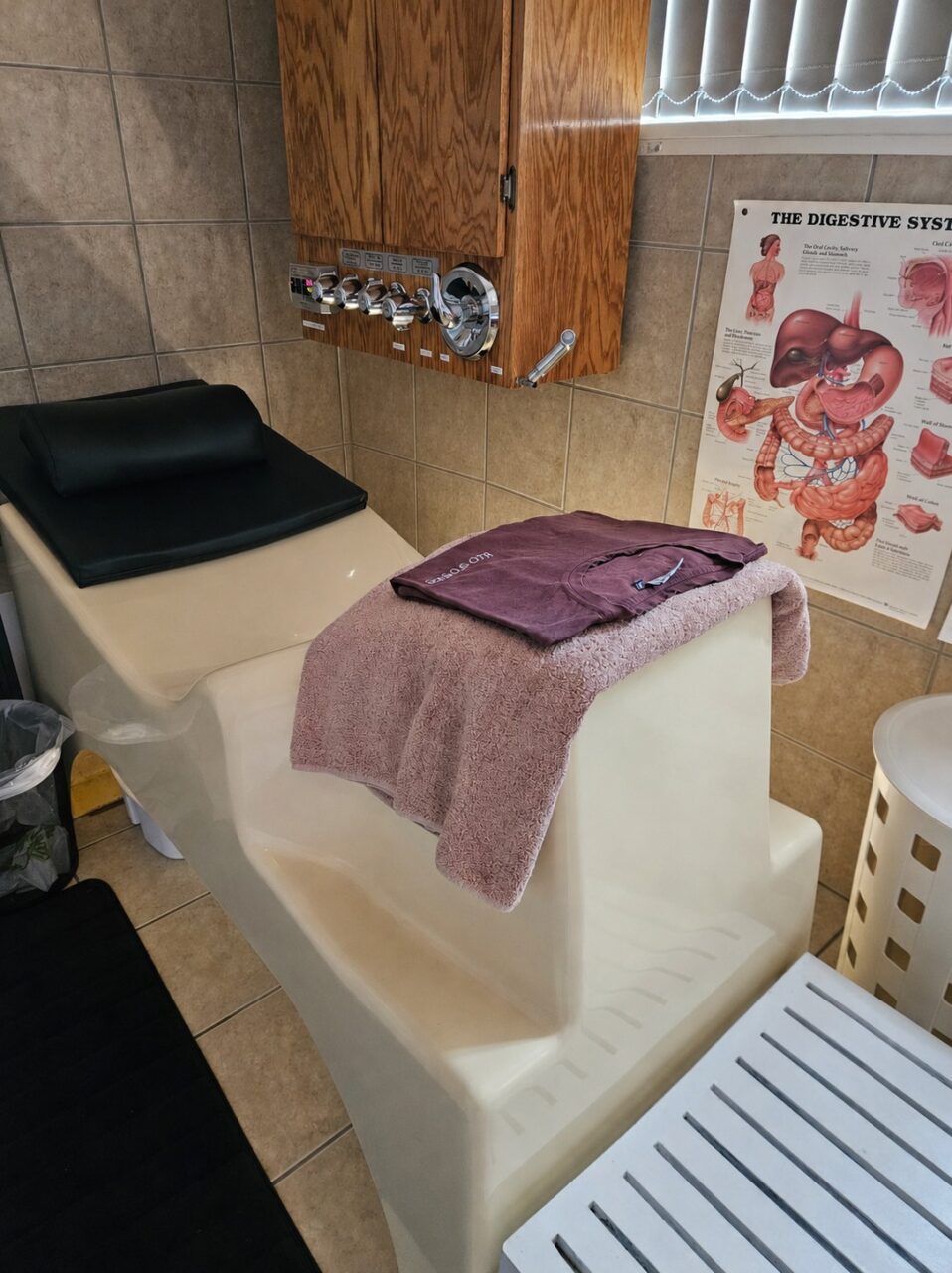 Detox Within Wellness Clinic - the colonic hydrotherapy treatment room at Detox Within Wellness Clinic in Napier