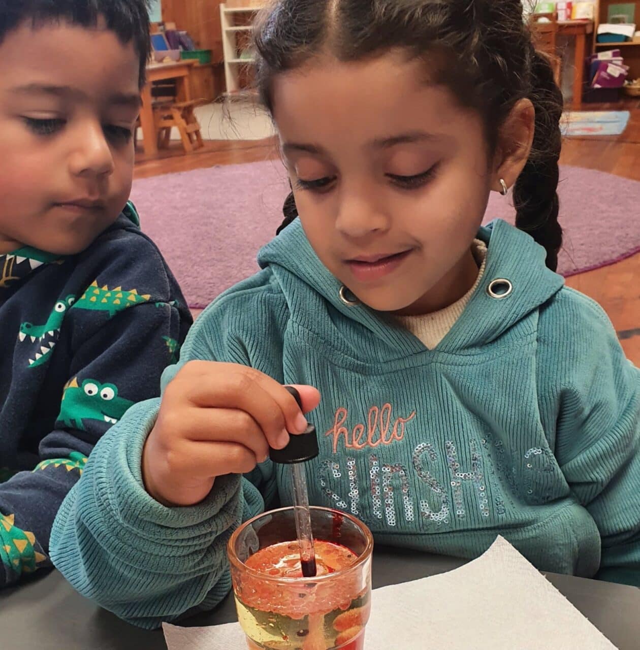 Montessori 3-6 - children doing a colour science activity in Napier